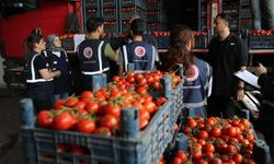 Diyarbakır'da 14 bin 783 ürün denetlendi