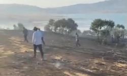 Diyarbakır'da ağaçlık alanda yangın