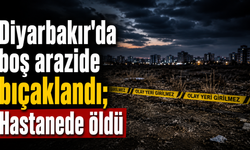 Diyarbakır'da boğazından bıçaklandı: Hastanede ölen kişinin adı belli oldu