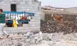 Diyarbakır'da şiddetli rüzgar ahırı yıktı: 2 yaralı