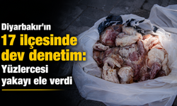 Diyarbakır'ın 17 ilçesinde dev denetim: Yüzlercesi yakayı ele verdi