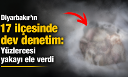 Diyarbakır'ın 17 ilçesinde dev denetim: Yüzlercesi yakayı ele verdi
