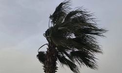 Elazığ'da bu pazar hava durumu; Meteoroloji açıkladı