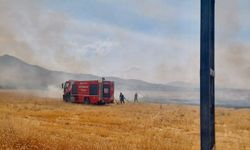 Elektrik tellerinden çıkan kıvılcım 40 dönümlük alanı küle çevirdi