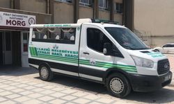Eşini kurt sanınca olan oldu! Eşi hayatını kaybetti
