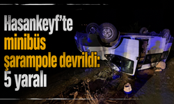 Hasankeyf'te minibüs şarampole devrildi: 5 yaralı