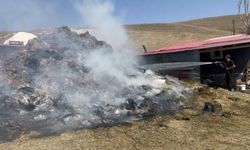 Kars'ta çiftçinin bir yıllık emeği kül oldu; Bin balya ot yandı