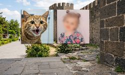 Diyarbakır'da kuduz alarmı: Kuduz nedir, nasıl bulaşır, belirtileri nelerdir?