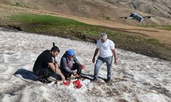 Kurtik Dağı'nda yaz mevsiminde kar manzarası: Diyarbakır'a da yakın