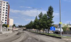Diyarbakır'da bir cadde daha yol çalışması nedeniyle trafiğe kapatıldı