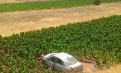 Malatya'da otomobil 20 metrelik çukura düştü: 3 yaralı