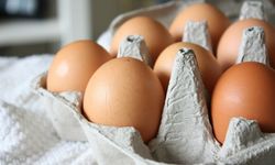 Yumurtada salmonella alarmı: Ürünler toplatılıyor
