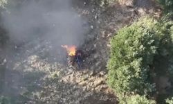 Diyarbakır’da tonlarca esrar elde edilebilecek kenevir ve skunk imha edildi