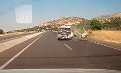 Kamyonetin çarptığı eşek metrelerce havaya fırladı