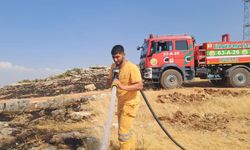 Diyarbakır'da yaklaşık 400 dönüm alan küle döndü