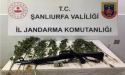 Şanlıurfa’da narko operasyonu