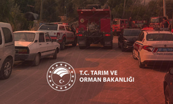 Bakanlıktan yangın bölgeleri için kritik uyarı