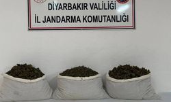 Diyarbakır’da narkotik operasyonları