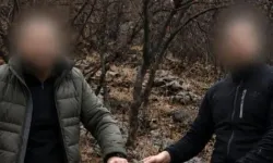 Siirt'te 5 yaban keçisini 6 yıl önce avlayanlara ceza