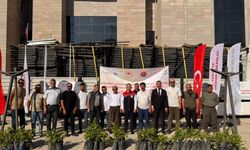 Şırnak'ta coğrafi işaret yolundaki Kıtılnefs üzümüne destek
