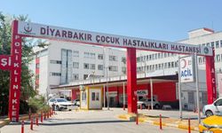 Diyarbakır'da kedinin ısırdığı çocuk entübe edildi