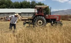 Yüksekova'da çiftçiler sıcağın altında ekmek peşinde