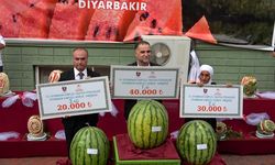 Diyarbakır karpuzunda şampiyon belli oldu
