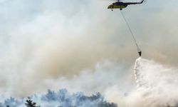 Adana Kozan'da ormanlık alanda yangın