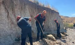 Adıyaman'da toprak kayması sonucu 6 küçükbaş hayvan telef oldu