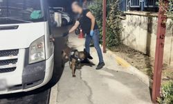 Batman'da 7,4 kilo skunk ele geçirildi: 2 tutuklama