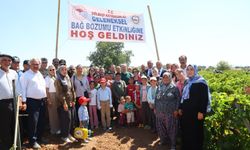 Gölbaşı'nda bağ bozumu heyecanı başladı