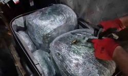 Yolcu otobüsünde 17 kilo 300 gram narkotik ele geçirildi