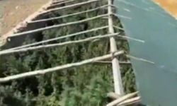 Ergani’de mini sera kurup kenevir yetiştirmişler