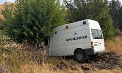 Bingöl'de belediye minibüsü ağaca çarptı: 3 kişi yaralandı