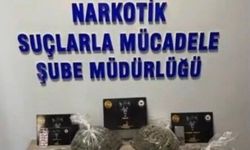 Bingöl'de polis operasyonu: 43 şüpheli yakalandı