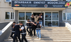 Diyarbakır'da "Daltonlar" operasyonu: 8 kişi tutuklandı,