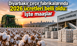 Diyarbakır çırçır fabrikalarında 2026 ücretleri belli oldu: İşte maaşlar