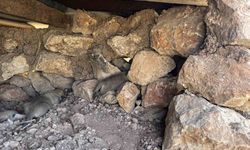Sur'da taşlar arasına sıkışan iki yavru köpek kurtarıldı