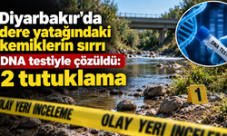 Diyarbakır'da dere yatağındaki kemiklerin sırrı DNA testiyle çözüldü: 2 tutuklama