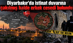 Diyarbakır'da istinat duvarına çakılmış halde çeset bulundu