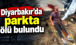Diyarbakır'da parkta tüfekle kendini vuran şahıs öldü