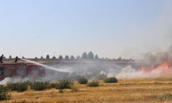Diyarbakır'da rüzgarın etkisiyle hızla yayılan anız yangını söndürüldü