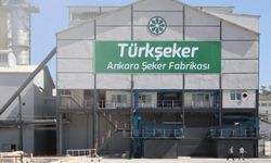 Türkiye Şeker Fabrikaları 182 işçi alacak