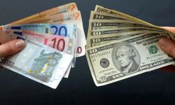 Döviz kurları güne yatay seyirle başladı