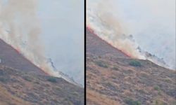 Elazığ Palu'da yangın çıktı