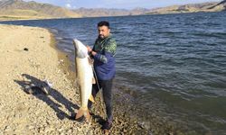 Elazığ'da amatör balıkçının oltasına 30 kiloluk turna takıldı