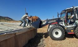 Diyarbakır’da çatıya çıkan inek ekipleri harekete geçirdi