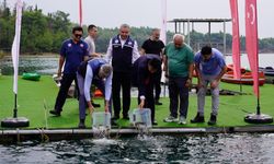 Adana’da 2 milyon 283 bin yavru sazan suya bırakılıyor