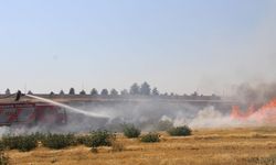 Diyarbakır'da rüzgarın etkisiyle hızla yayılan anız yangını söndürüldü