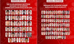 Kırmızı bültenle aranan 29 kişi Türkiye'ye getirildi